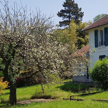 Apartament La Petite Sommiere Besançon Zewnętrze zdjęcie