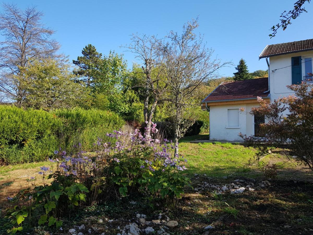 Apartament La Petite Sommiere Besançon Zewnętrze zdjęcie