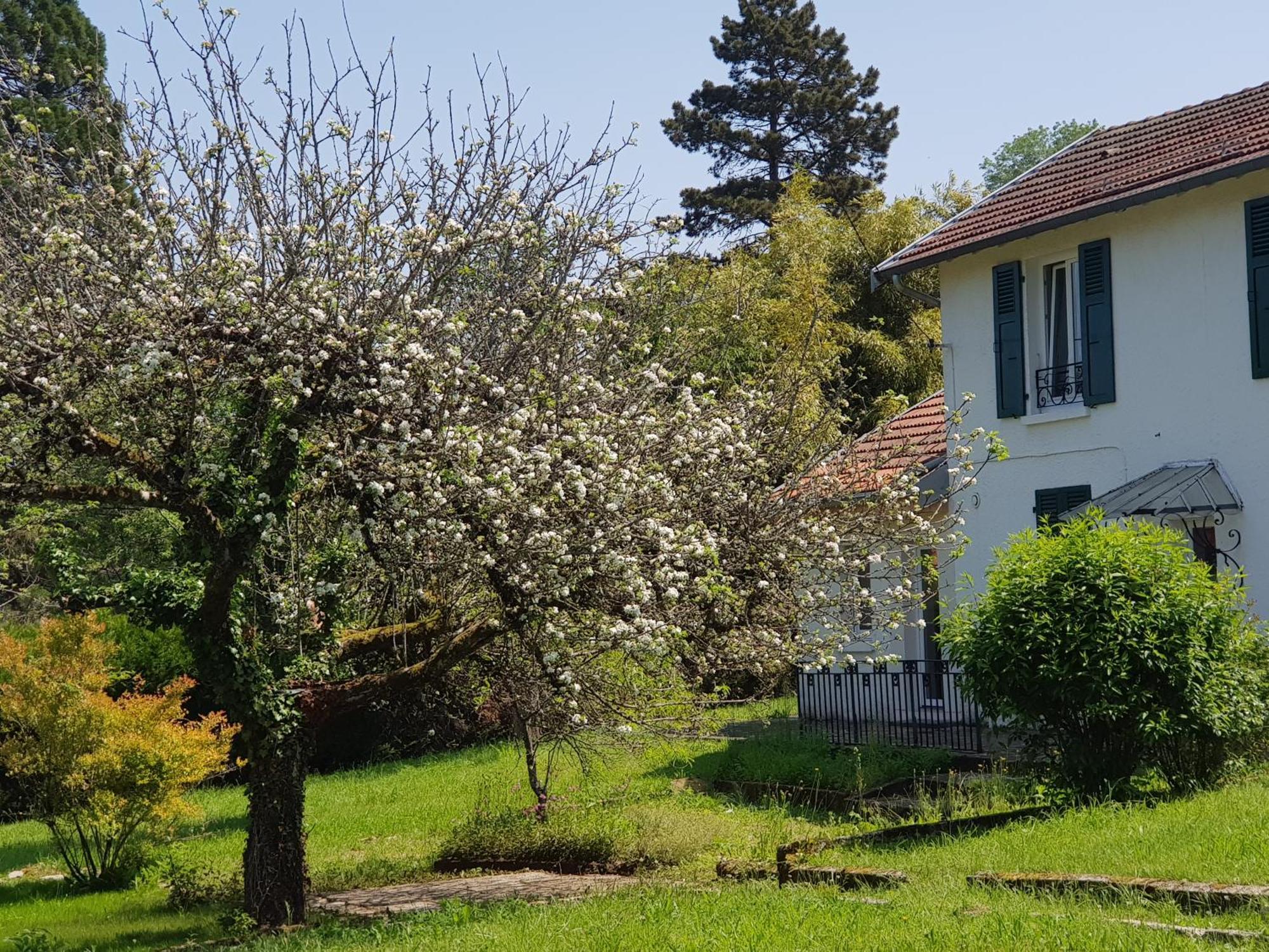 Apartament La Petite Sommiere Besançon Zewnętrze zdjęcie
